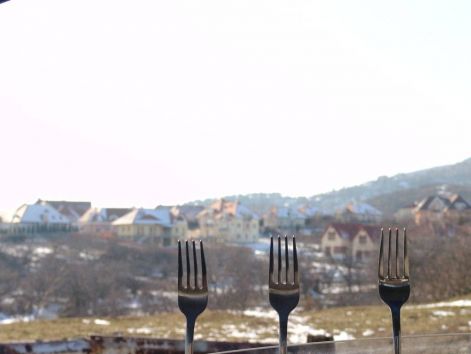 96267.jpg